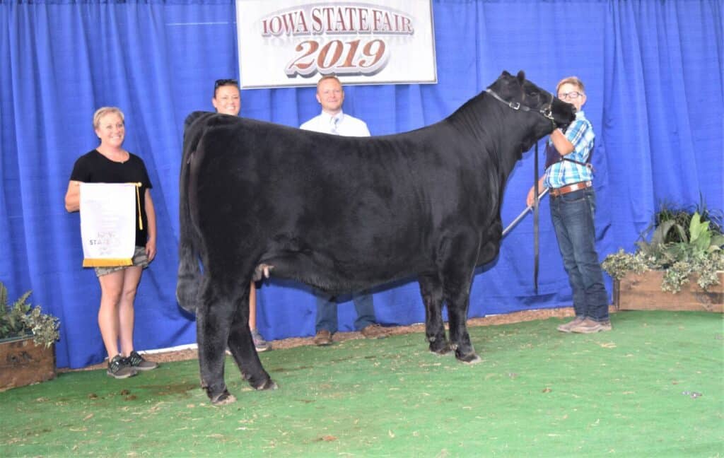 Four people pose with a large black cow in front of a blue curtain at the Iowa State Fair 2019. One person holds a banner, while another holds the cows lead. The group stands on green turf with potted plants on either side.