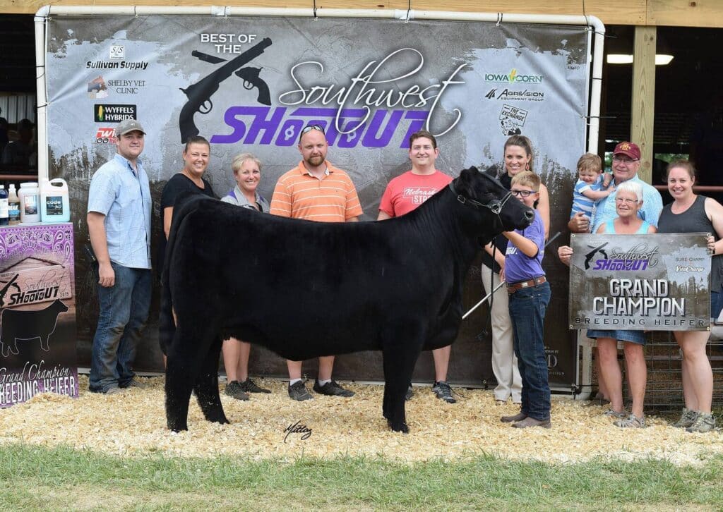 A group of people pose with a black heifer in front of a “Southwest Showout” banner at a livestock event. Two people hold signs reading “Grand Champion Breeding Heifer.” Everyone is smiling and dressed casually.