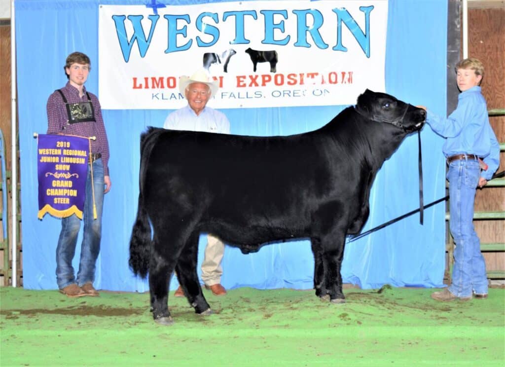 Three young men and a man in a cowboy hat stand with a black steer at the Western Limousin Exposition. One holds a banner reading 2019 Western Regional Junior Limousin Show Grand Champion Steer.