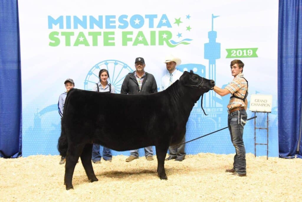 Five people stand behind a black cow at the Minnesota State Fair 2019. The cow has a Grand Champion sign next to it. A fair-themed backdrop with ferris wheel art is visible behind the group.