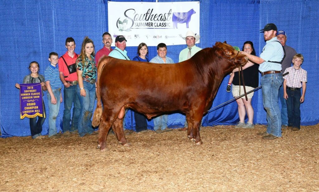A group of people pose with a prize-winning brown bull at the Southeast Summer Classic livestock show, holding a championship banner in front of a blue curtain backdrop.