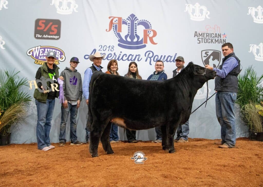 A group of people stands around a black cow at the 2018 American Royal livestock show. A handler holds the cow’s halter. Event banners and sponsor logos are displayed in the background.