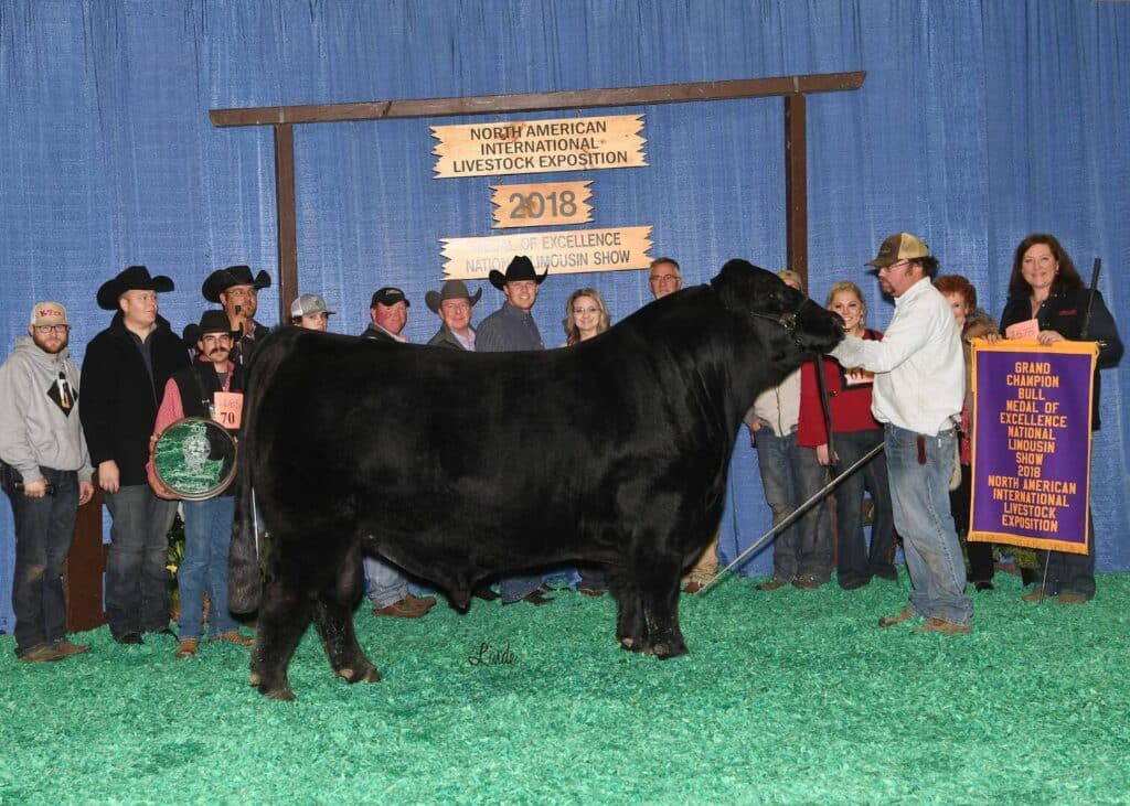 A group of people pose with a large black bull at the 2018 North American International Livestock Exposition. They stand on green turf with award signs and banners celebrating the Grand Champion bull.