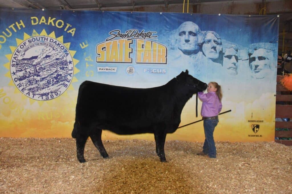 A girl stands holding a black cow in front of a South Dakota State Fair backdrop featuring Mount Rushmore and official logos. The ground is covered with wood shavings.