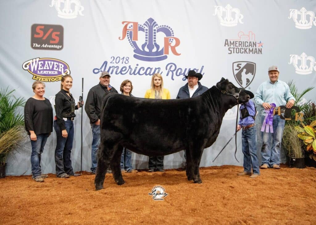 A group of seven people pose with a black show steer at the 2018 American Royal livestock event, standing on reddish dirt in front of a blue event banner with sponsor logos. Some hold ribbons and one person wears a cowboy hat.