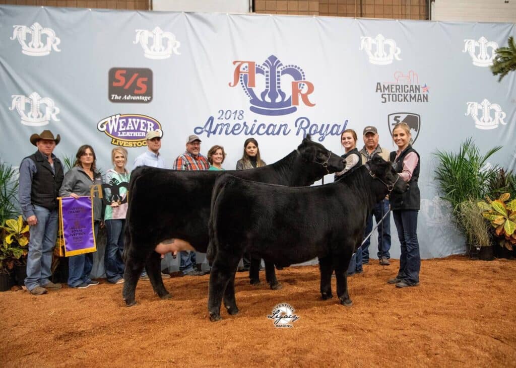 A group of people stand behind two black cattle at the 2018 American Royal livestock show. Some people hold banners and ribbons. The backdrop features event logos and sponsors.