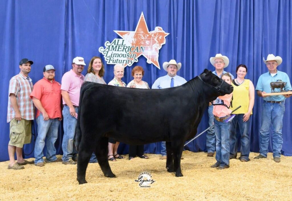 A group of people pose with a black Limousin cow at the All American Limousin Futurity event, standing on straw with a blue curtain and event logo in the background. Some people hold awards.