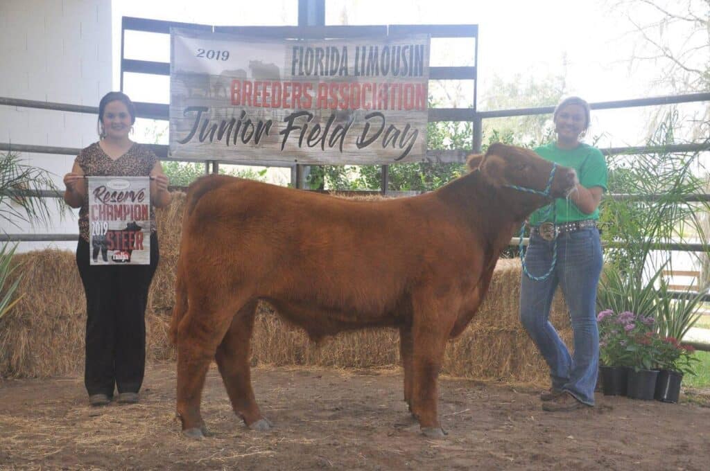 Two people stand with a brown steer at the Florida Limousin Breeders Association Junior Field Day. One holds a Reserve Champion sign. There is a banner and hay bales in the background.