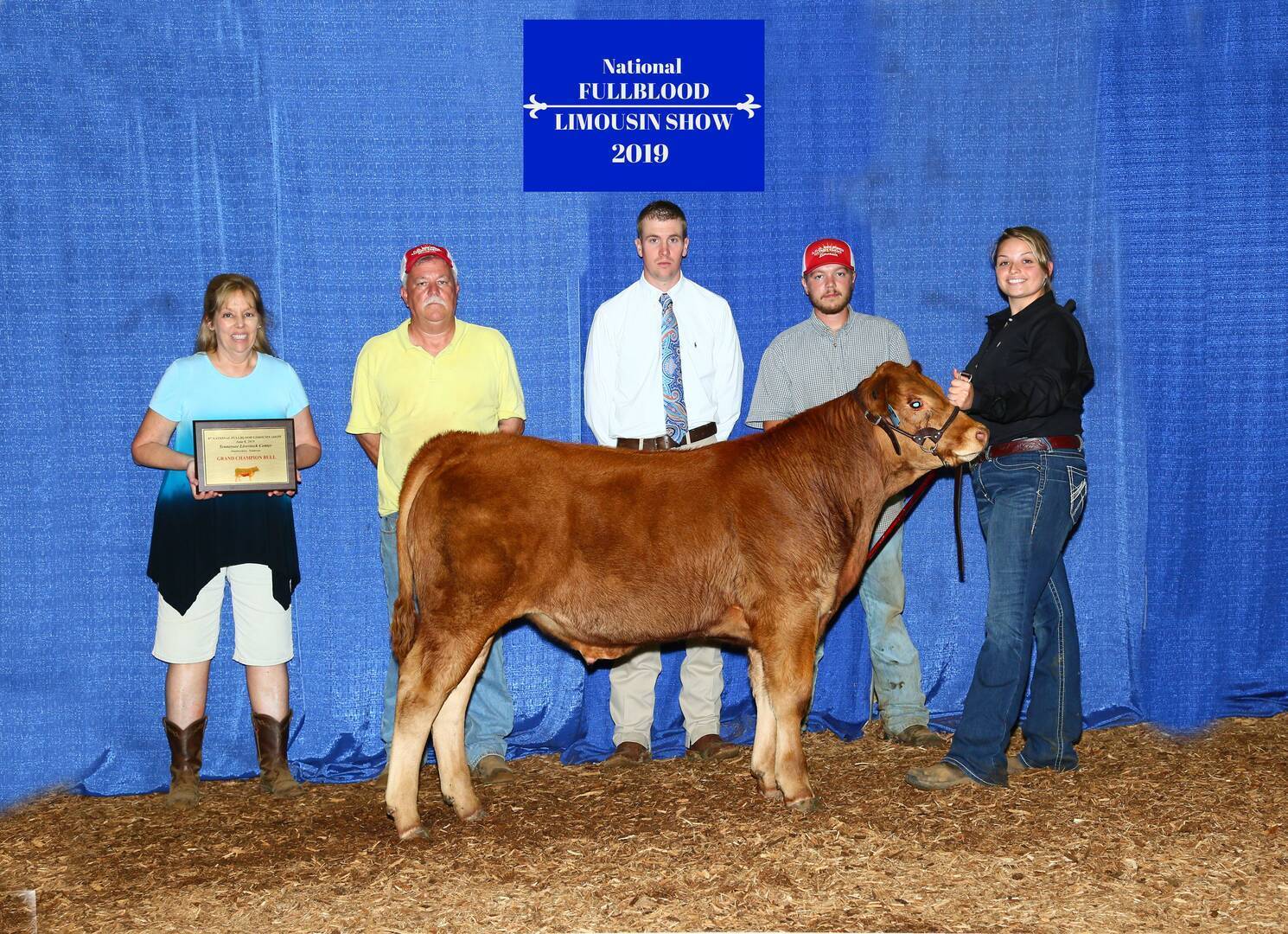 Five people stand in front of a blue curtain at the National Fullblood Limousin Show 2019. A young brown calf is held by a woman on the right; a woman on the left holds a plaque.
