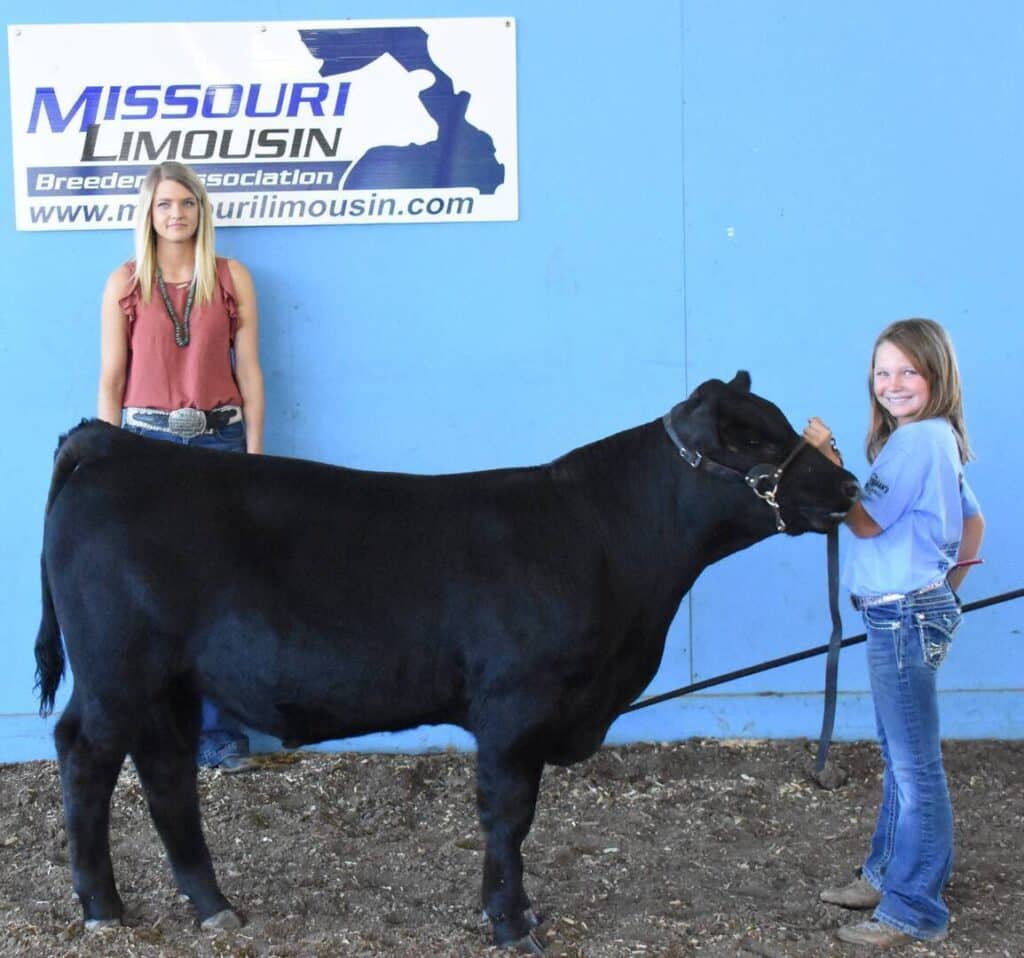Two girls stand with a black cow in front of a blue wall featuring a “Missouri Limousin Breeders Association” sign. One girl holds the cow’s halter, while the other stands behind them, both smiling.