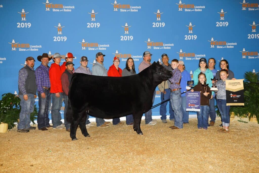 A group of people stand around a black cow at a livestock show. Some hold awards and a champion sign. The backdrop displays Houston Livestock Show and Rodeo 2019 with blue and orange logos.