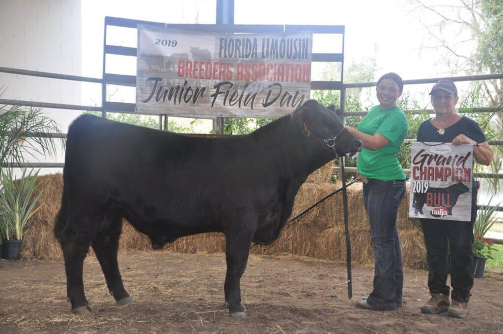 Two women pose with a black bull in front of a banner reading Florida Limousin Breeders Association Junior Field Day 2019. One woman holds the bulls lead; the other holds a Grand Champion 2019 Bull sign.