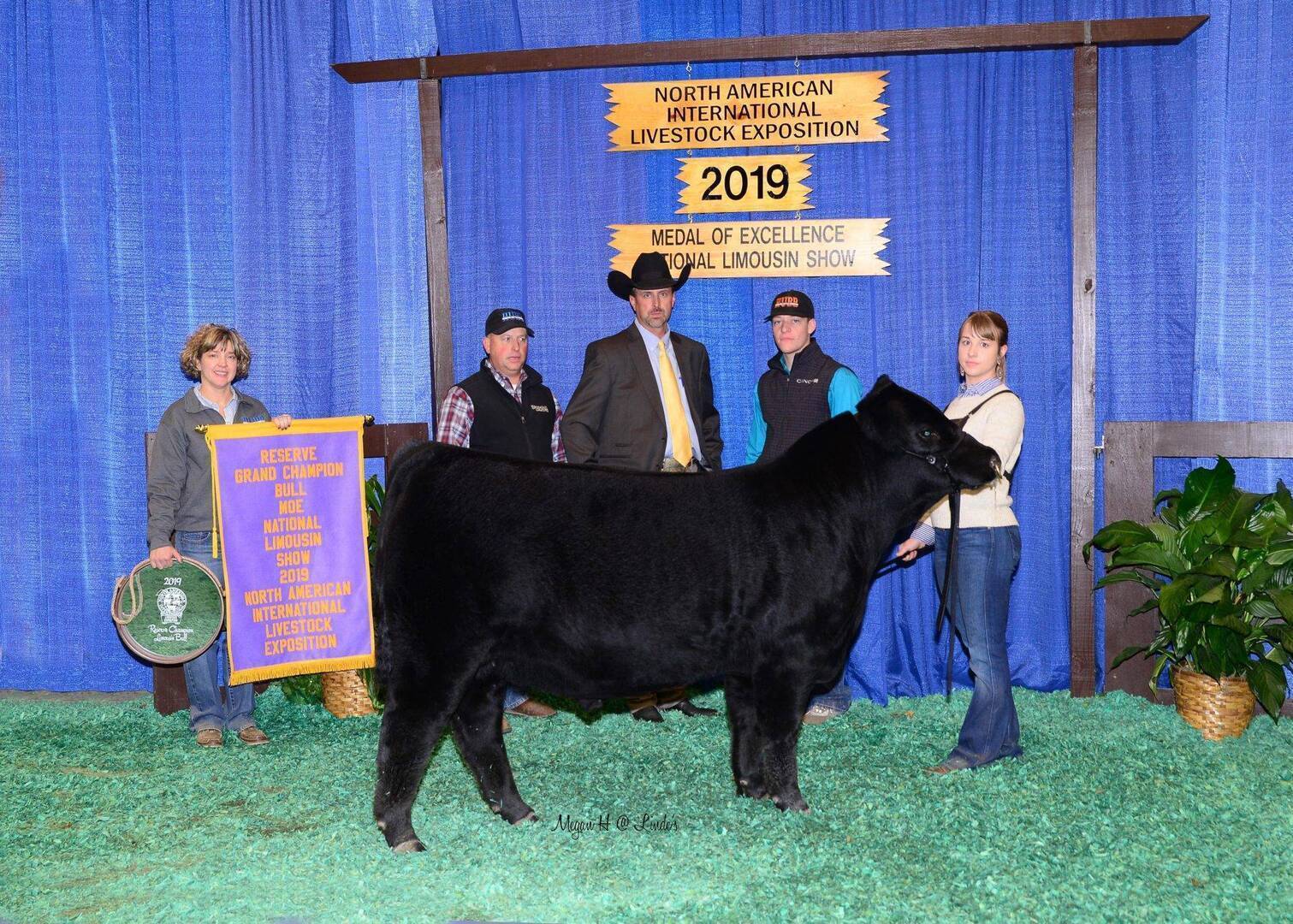 Five people stand behind a black cow at the 2019 North American International Livestock Exposition. One person holds a purple and gold award banner, and the group poses in front of a blue curtain backdrop.