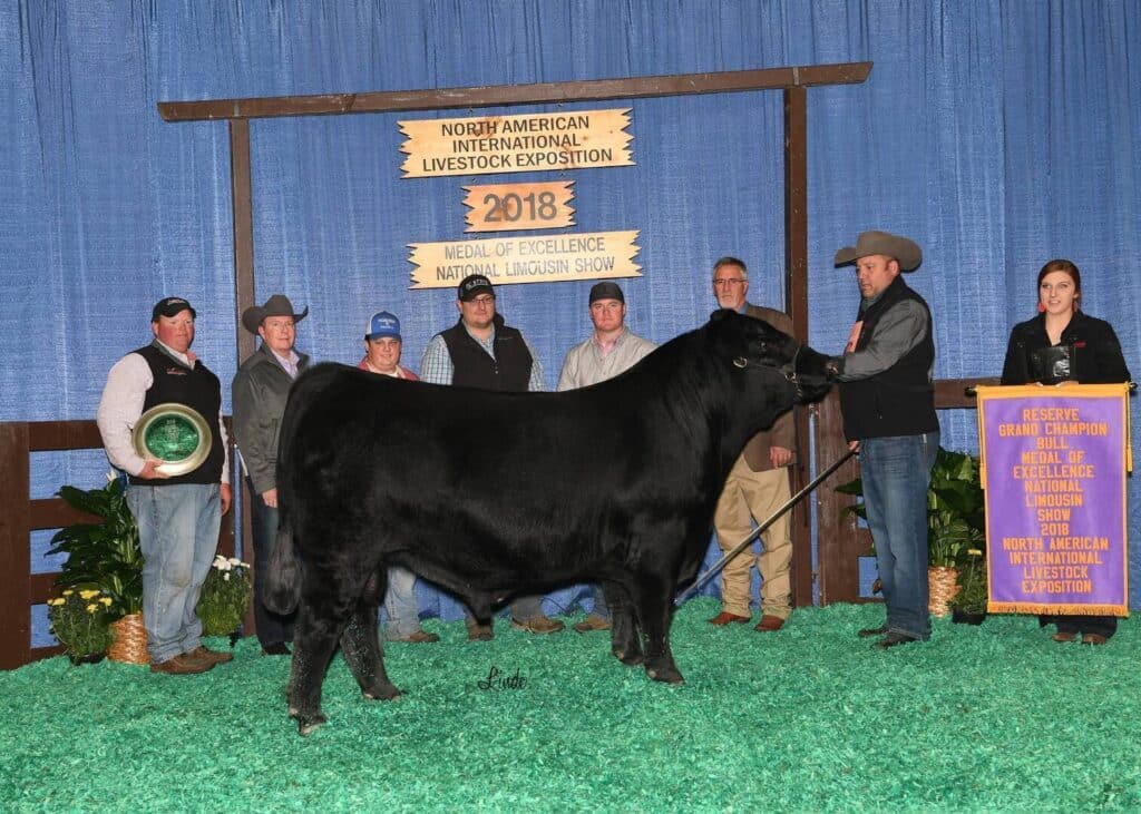 A group of people pose with a black steer at the 2018 North American International Livestock Exposition. One person holds a ribbon while another holds a plaque, and a banner reads Reserve Grand Champion.