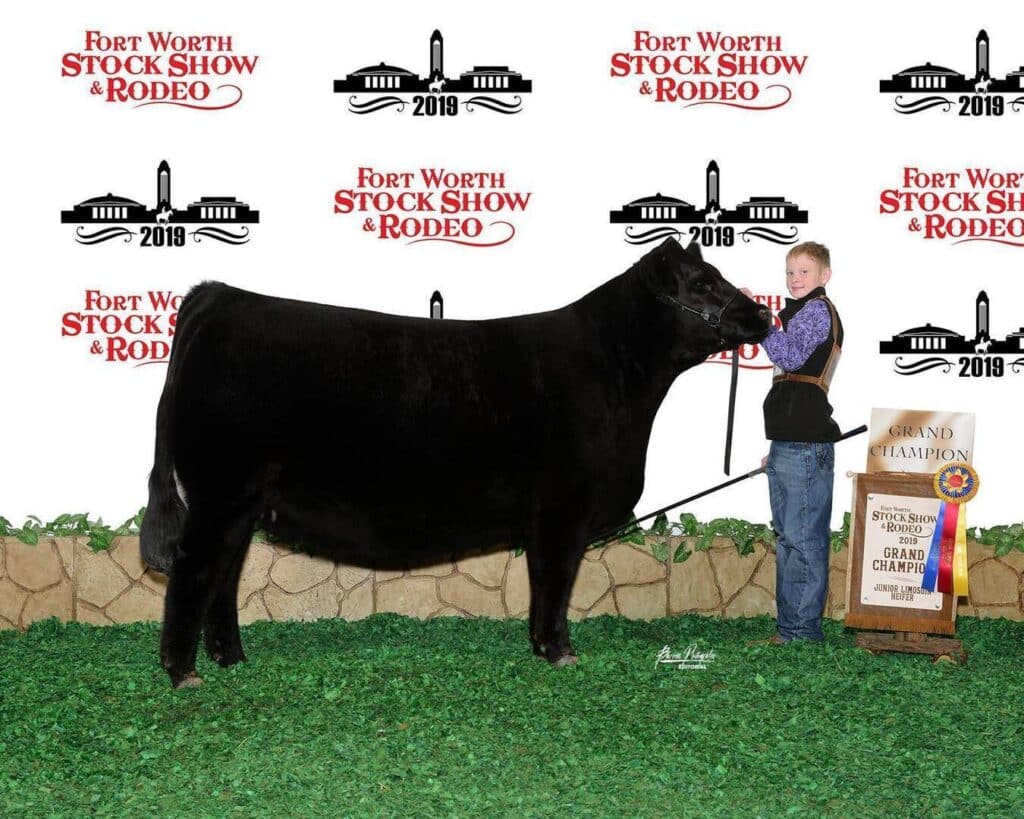 A young person stands holding a large black cow, posing in front of a backdrop for the 2019 Fort Worth Stock Show & Rodeo. A Grand Champion sign and ribbon are displayed next to them on the right.