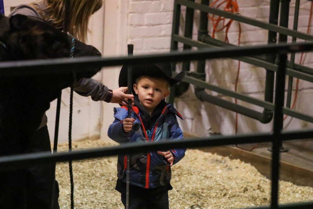 A young boy wearing a cowboy hat and jacket stands in an indoor pen area, holding a stick. An adult beside him adjusts the hat. Metal railings and wood shavings are visible in the scene.