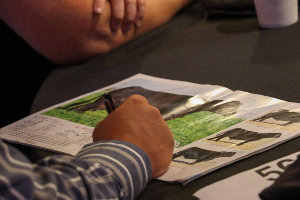 A person holding a pen reviews a magazine page with photos and information about cattle, while another persons arm rests on the table nearby.