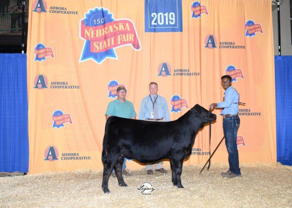 Three people stand with a black cow in front of a yellow and blue Nebraska State Fair 2019 backdrop indoors, with hay on the ground and sponsor logos visible behind them.
