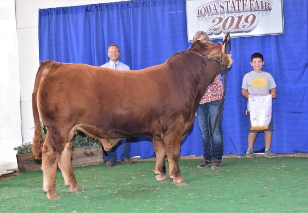 A brown cow stands on green turf in front of a blue curtain at the Iowa State Fair 2019. Two adults and one child, holding a prize banner, pose proudly beside the cow.