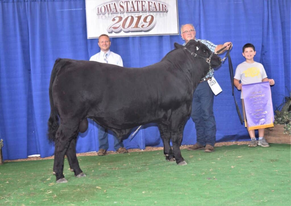Three people pose with a large black bull in front of a blue curtain and a sign reading Iowa State Fair 2019. One person holds the bull’s lead, and a child holds a purple banner.
