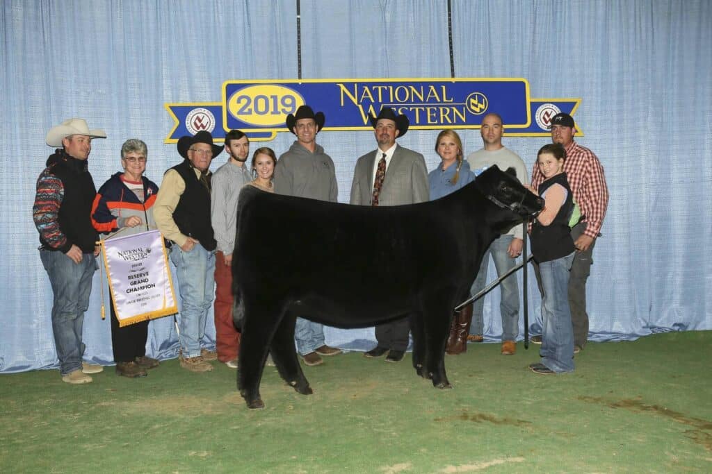 A group of people stand posing with a black cow in front of a blue curtain and a 2019 National Western banner. One person holds a champion banner. Everyone is dressed in western or casual attire.