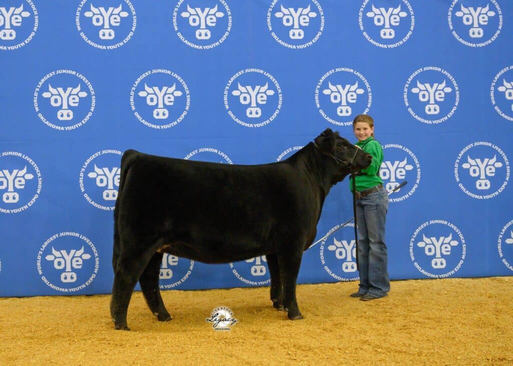 A smiling child in a green shirt stands next to a large black cow at a livestock show, posing in front of a blue backdrop with repeating OYE logos and white circular text. The floor is covered in wood shavings.