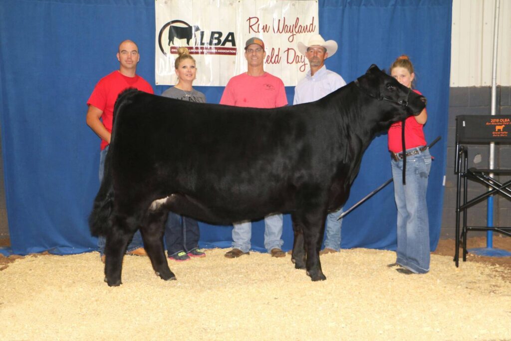 Five people stand behind a large black cow at a livestock event, posing for a photo in front of a blue curtain and a banner that reads Run Maryland Field Day. One person holds the cow’s lead.
