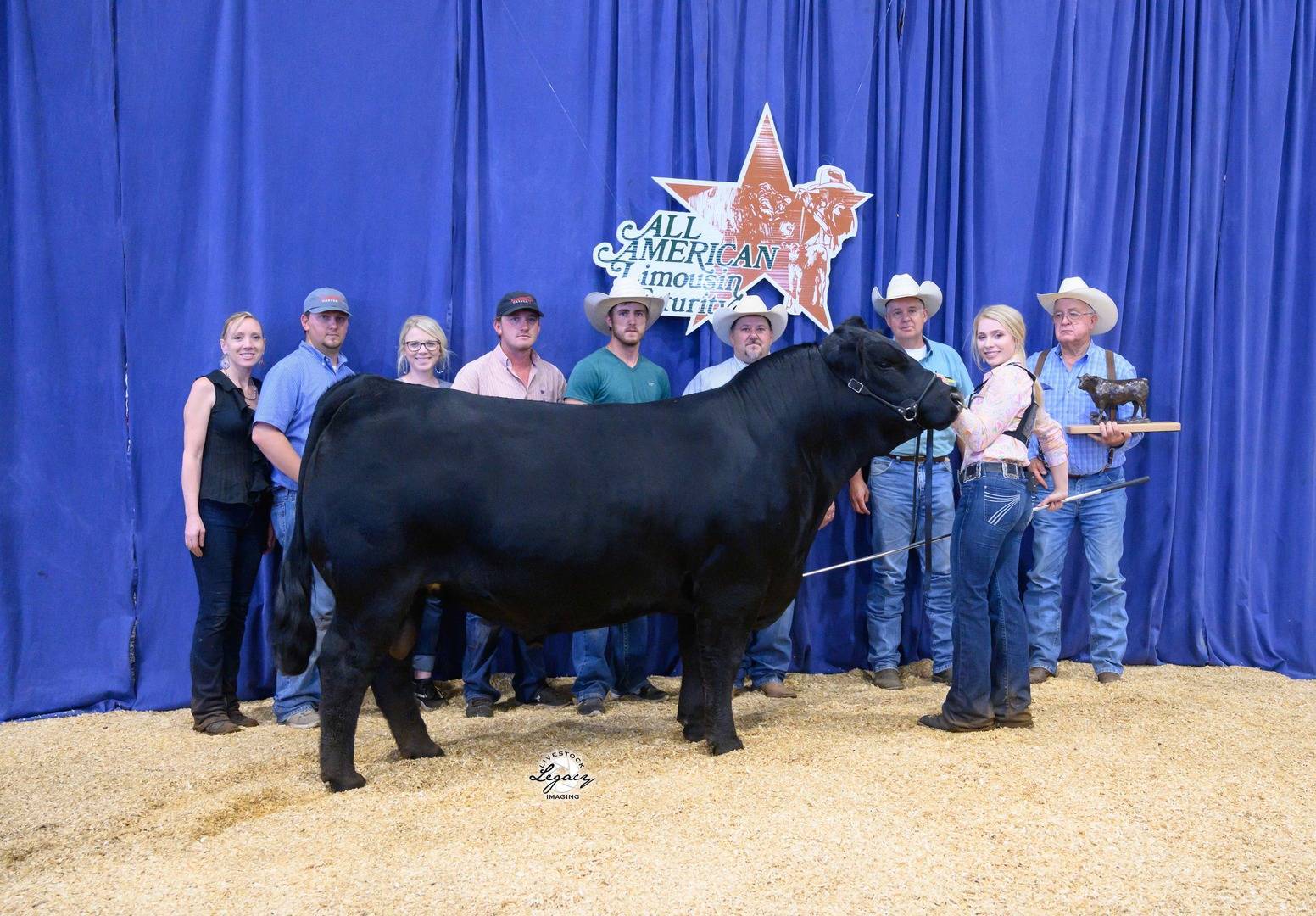 A group of people pose with a large black cow in front of a blue curtain backdrop featuring an All American Limousin Futurity sign. The ground is covered in straw.
