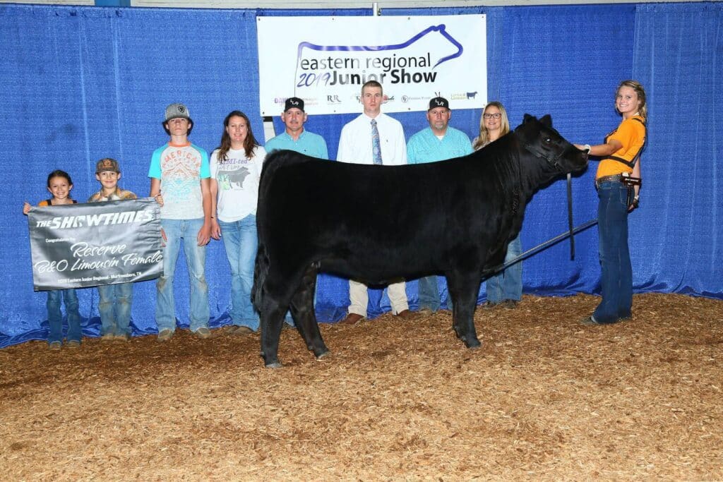 A group of people stands behind a black cow at the Eastern Regional Junior Show. One person holds the cows lead while others hold a banner reading The Showtimes Reserve Division Female. Blue curtains and a sign are in the background.