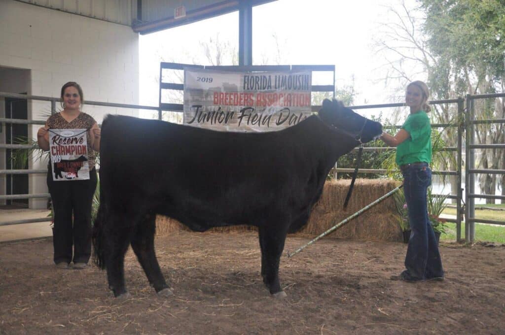 Two people stand beside a black cow at a livestock show. One holds a “Reserve Champion” sign, the other holds the cow’s halter. Behind them is a banner for the 2019 Florida Limousin Breeders Association Junior Field Day.