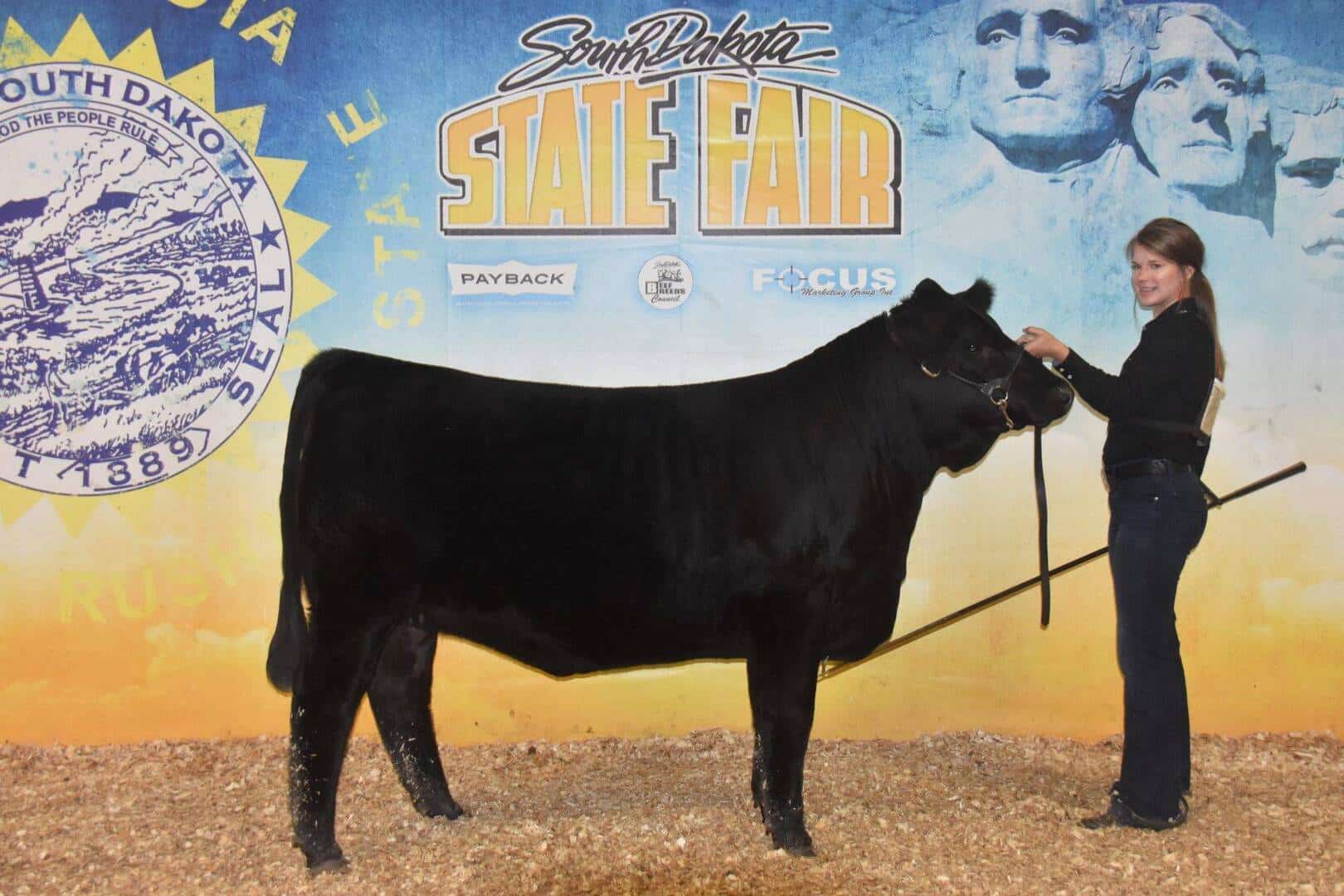 A woman stands holding a black cow by a halter at the South Dakota State Fair, with a backdrop featuring the fair logo, Mount Rushmore, and event sponsors.