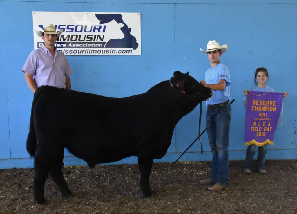 Three people stand with a black bull in front of a blue wall and Missouri Limousin Breeders Association sign; one person holds a purple and gold Reserve Champion Bull, MLBRA Field Day 2019 banner.
