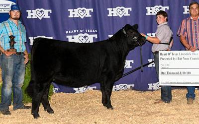 Four people stand with a black cow at a livestock show. One person holds a trophy, another holds the cow’s lead, and another displays a large check. A blue “Heart O’ Texas” backdrop is behind them.