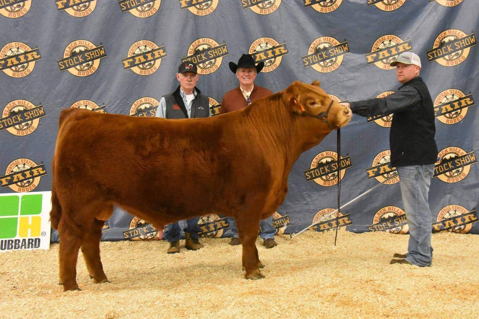 Three men in cowboy hats pose with a reddish-brown cow at a livestock show, standing on sawdust in front of a backdrop with “Stock Show Fair” logos. One man holds the cow by a lead.