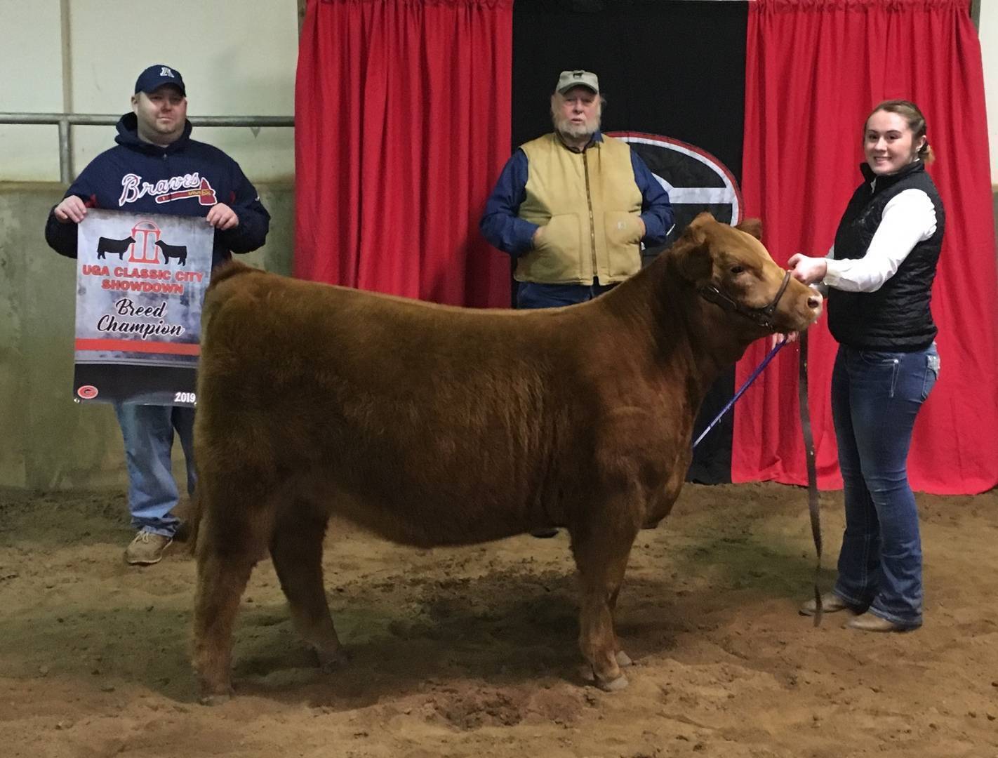 Three people stand in a barn with red curtains; a young woman holds a brown cow, a man in a vest stands behind them, and another man holds a banner reading Beef Champion.