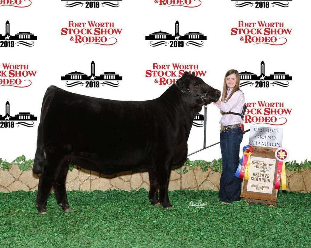 A young woman stands smiling next to a large black cow at the Fort Worth Stock Show & Rodeo 2019, holding a ribbon and trophy for Reserve Grand Champion. A branded backdrop and award signs are behind them.