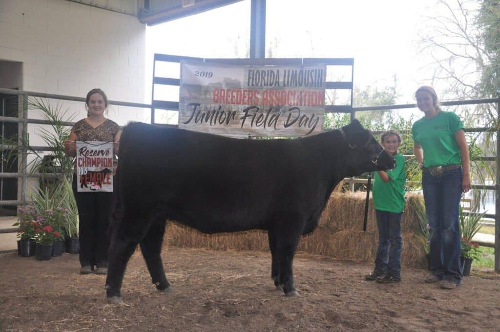 Three people and a child stand with a black cow in front of a sign reading Florida Limousin Breeders Association Junior Field Day. One person holds a Reserve Champion Heifer sign. Hay bales and plants are in the background.