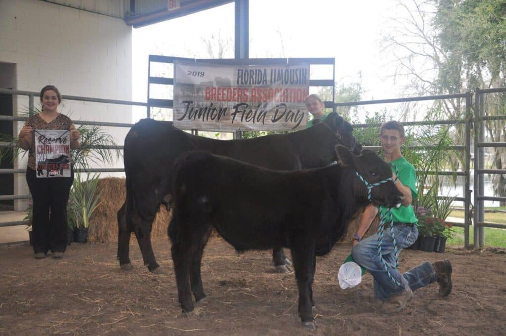 Two people pose with two black cows in an indoor arena. A woman stands to the left holding a Reserve Champion sign. A Florida Limousin Breeders Association Junior Field Day 2019 banner hangs behind them.