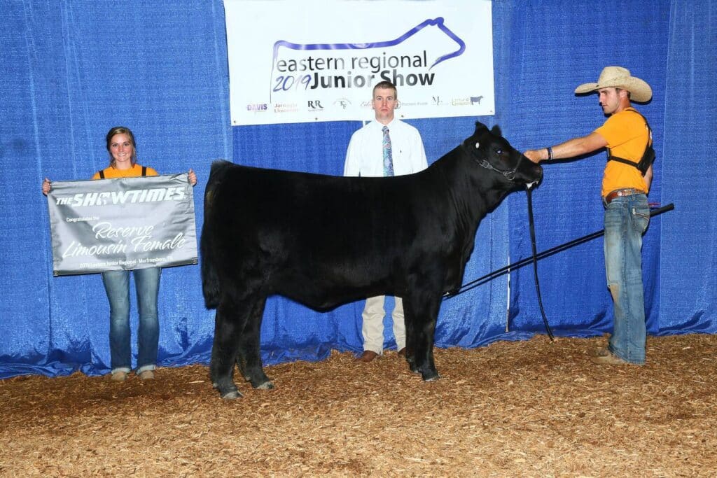 Three people stand in an indoor show ring with a black cow. One person holds a banner reading “Reserve Limousin Female.” A judge stands in the center, and another person holds the cow. A sign above says Eastern Regional Junior Show.