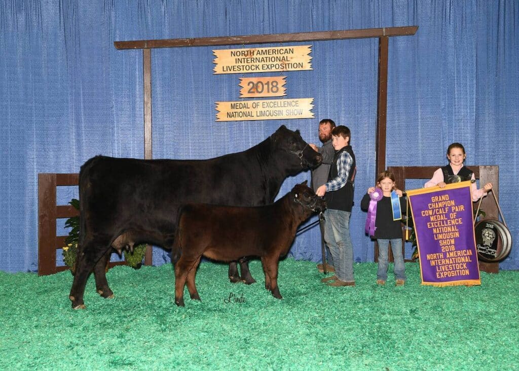 Four people stand with a black cow and calf in front of a blue curtain and wooden signs reading “2018 North American International Livestock Exposition.” A girl holds a champion banner for the National Limousin Show.