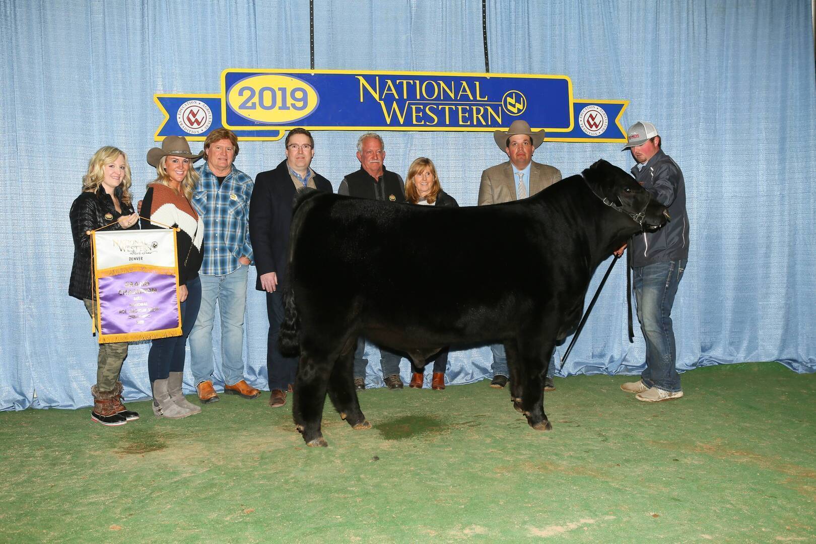 A group of people stands behind a black cow in front of a blue curtain and a “2019 National Western” sign; one person holds a purple and white award banner.