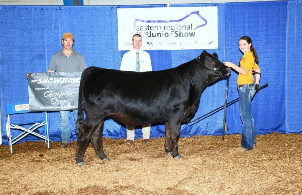 Three people stand with a black steer at a livestock show. A girl in a yellow shirt holds the steer, while two men stand behind a sign reading “Champion Steer.” A blue curtain and show banner are in the background.
