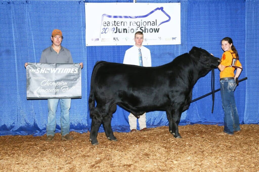 Three people pose with a black bull at a livestock show. One holds a “Champion Limousin Bull” banner, another holds the lead, and a third stands behind the bull. A “Junior Show” sign is in the background.