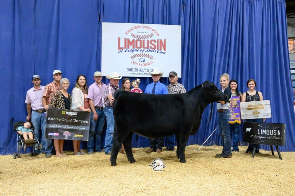 A group of people pose with a black cow in front of a blue curtain and a large sign reading “Limousin” at a livestock show. Some people hold awards, including a “Reserve Grand Champion” banner and a large check.