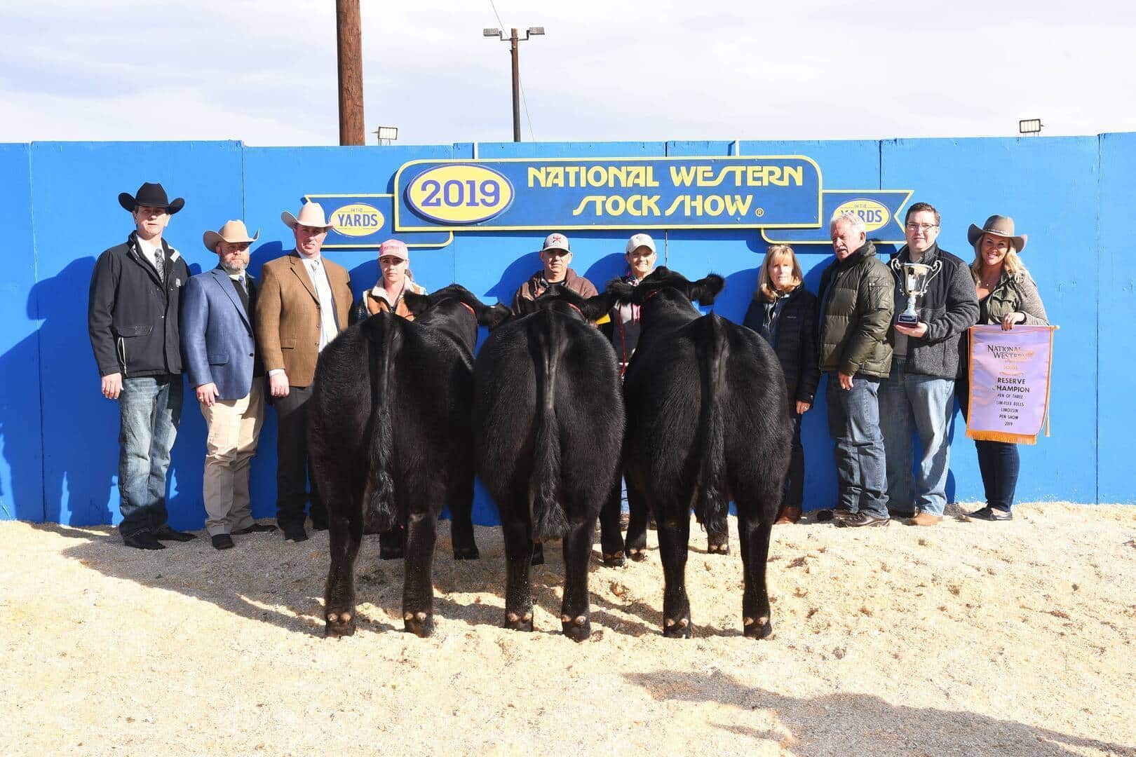 A group of people stand in a row behind three black cattle at the 2019 National Western Stock Show, posing for a photo in front of a blue and yellow sign. One person holds an award banner.