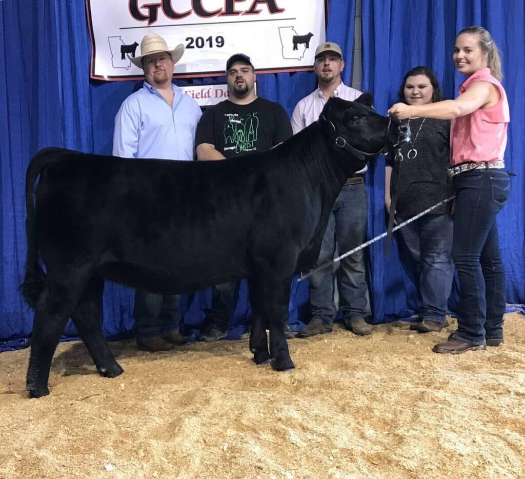 Five people stand behind a black cow at a livestock show, with a blue curtain and a GCCPA 2019 banner in the background. One woman in pink holds the cows halter and smiles at the camera.