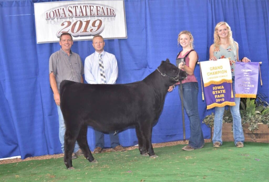 Four people stand with a black heifer at the Iowa State Fair 2019. Two women hold championship banners, and two men stand beside them. A sign in the background reads Iowa State Fair 2019.