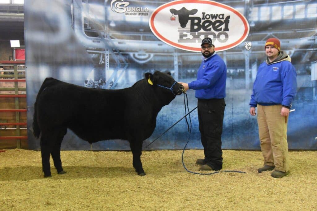 Two men in blue jackets stand with a black cow at the Iowa Beef Expo. One man holds the cows rope, and they are posing in front of a blue backdrop with the event logo.