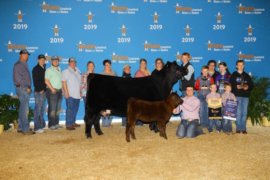 A group of people pose indoors with a black cow and a calf in front of a blue backdrop labeled Houston Livestock Show and Rodeo 2019. Some participants hold awards and ribbons.