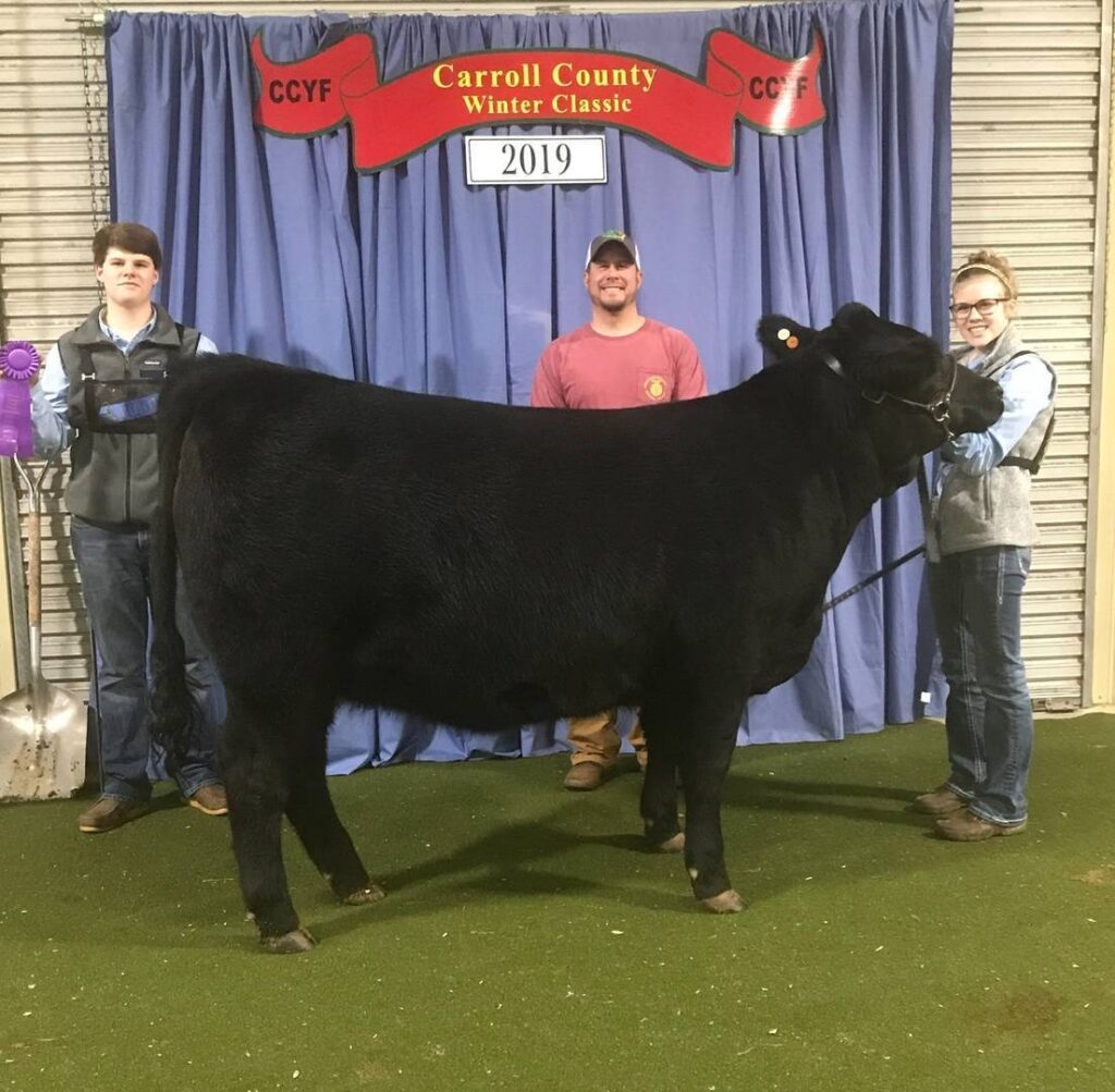 Three people pose with a black cow at the Carroll County Winter Classic 2019 livestock show. A blue ribbon is displayed on the left, and a blue and red banner hangs behind them. The cow is standing on green turf.